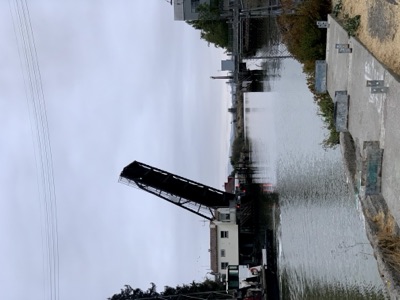 Segment 12 photo 10