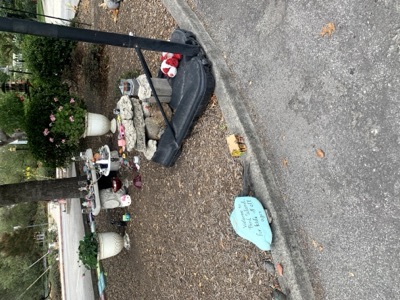 Segment 12 photo 12