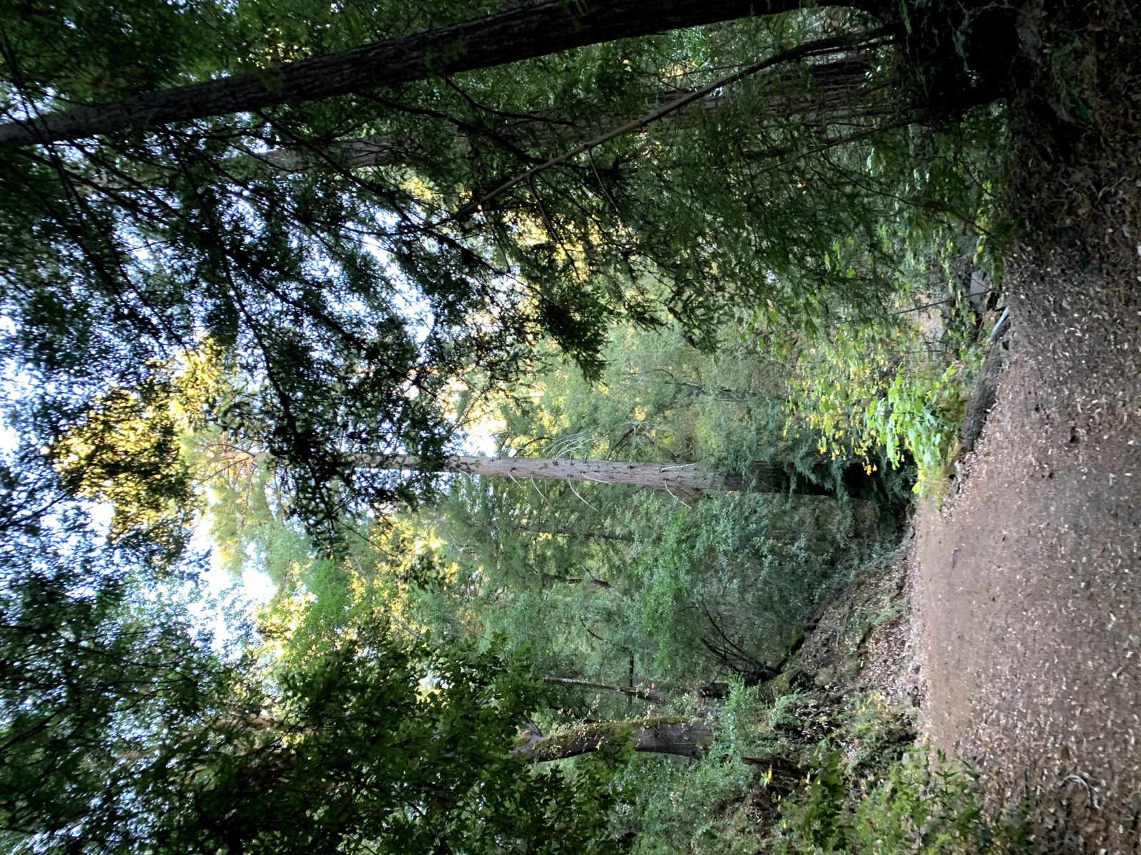 Segment 13, photo 3