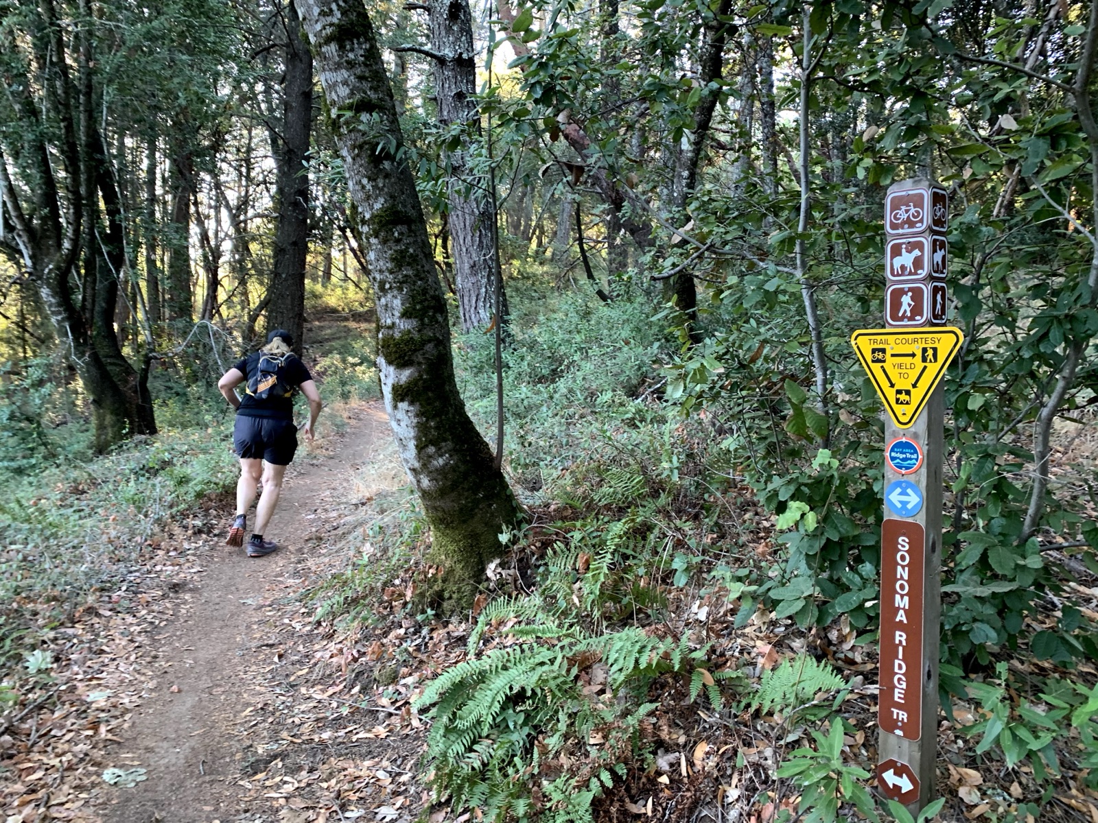 Segment 13, photo 4