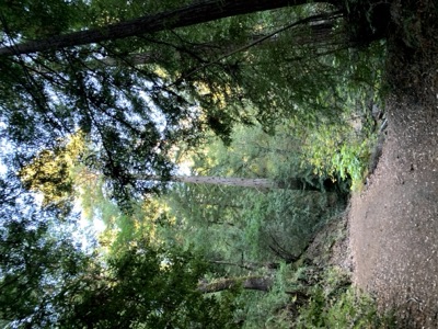 Segment 13 photo 3