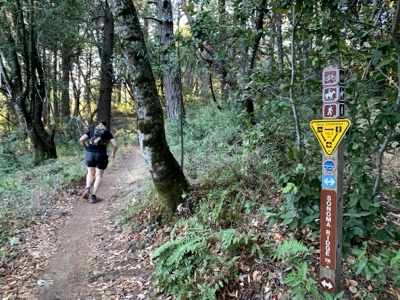 Segment 13 photo 4