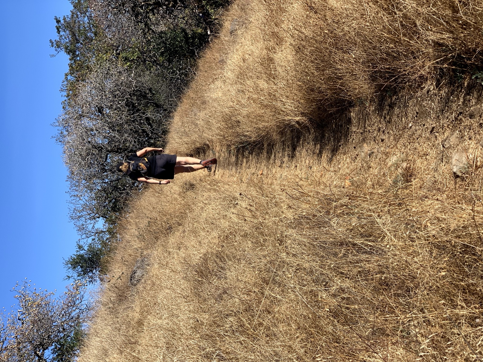 Segment 14, photo 6