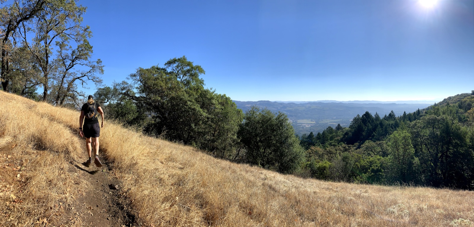 Segment 14, photo 8