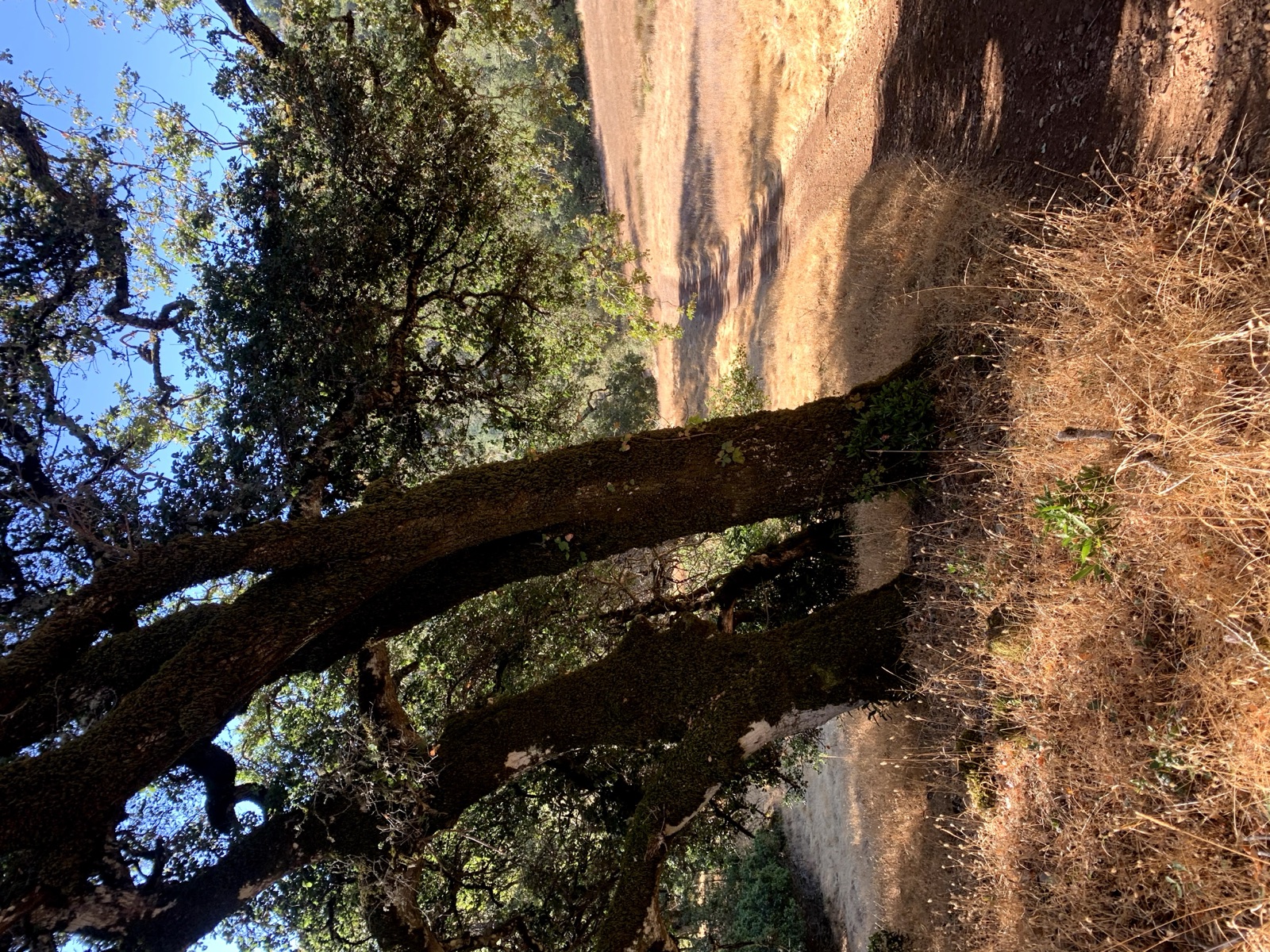 Segment 14, photo 9