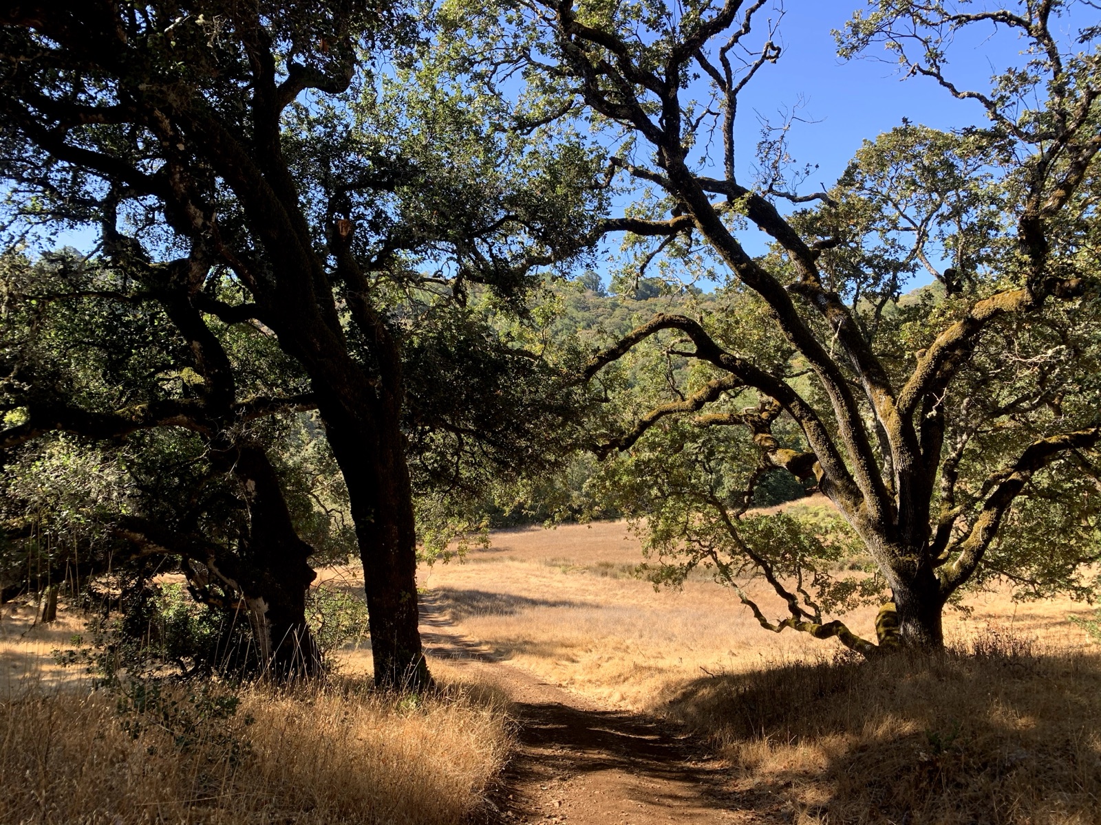 Segment 14, photo 10