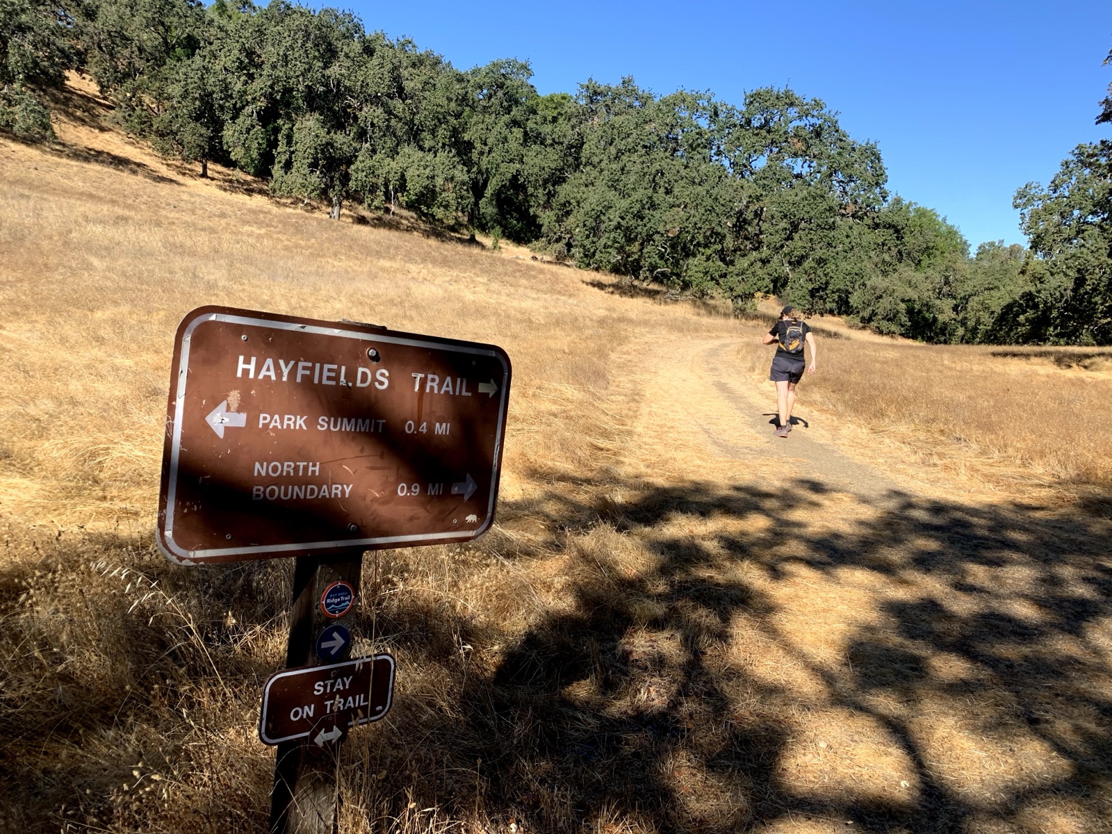 Segment 14, photo 11