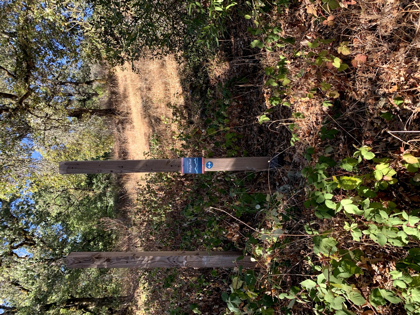 Segment 14, photo 12