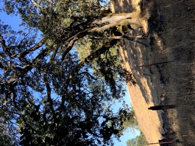 Segment 14 photo 2