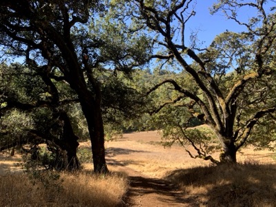 Segment 14 photo 10