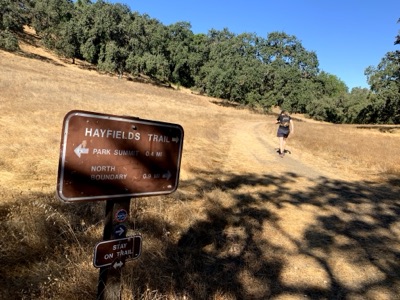 Segment 14 photo 11
