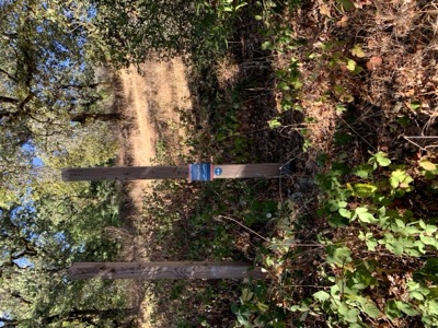 Segment 14 photo 12