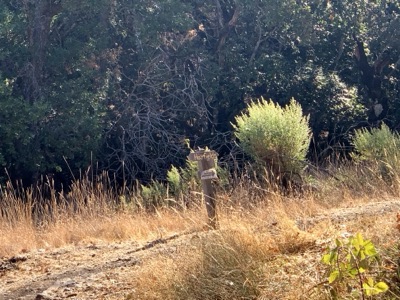 Segment 14 photo 13