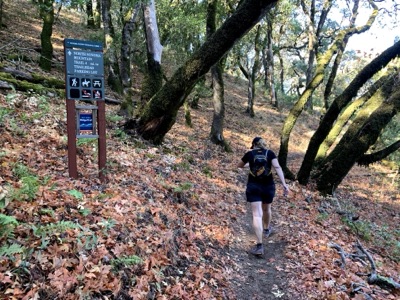 Segment 14 photo 14