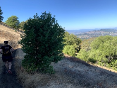 Segment 14 photo 15