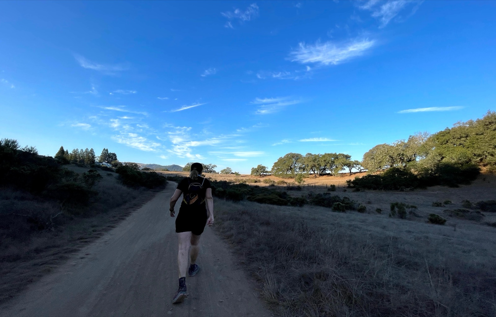 Segment 15, photo 5