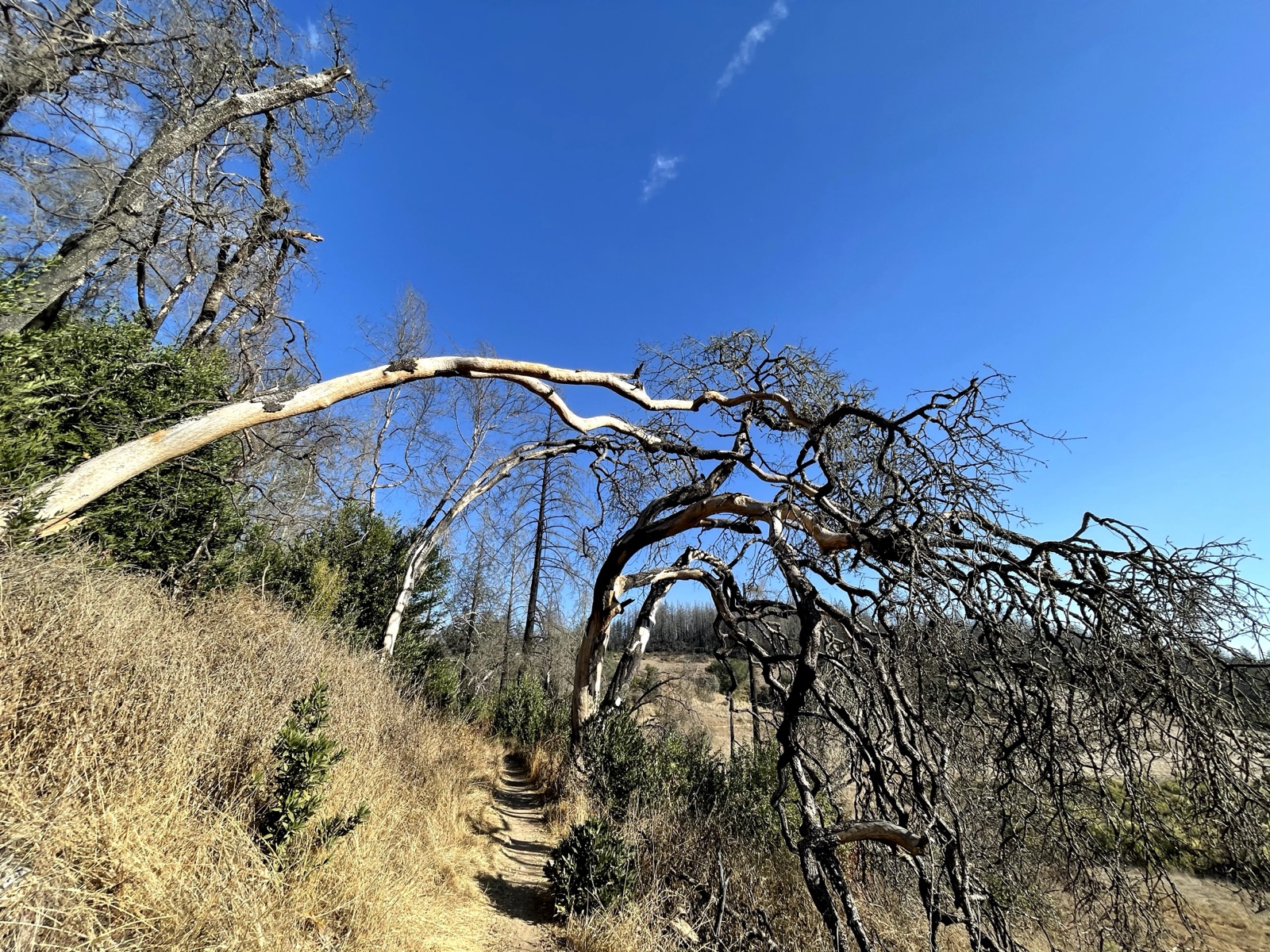 Segment 15, photo 7