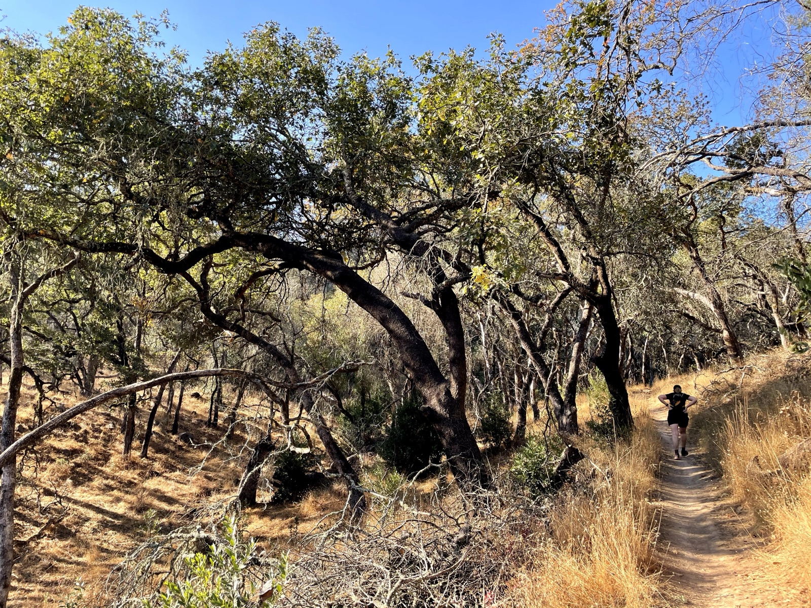 Segment 15, photo 8