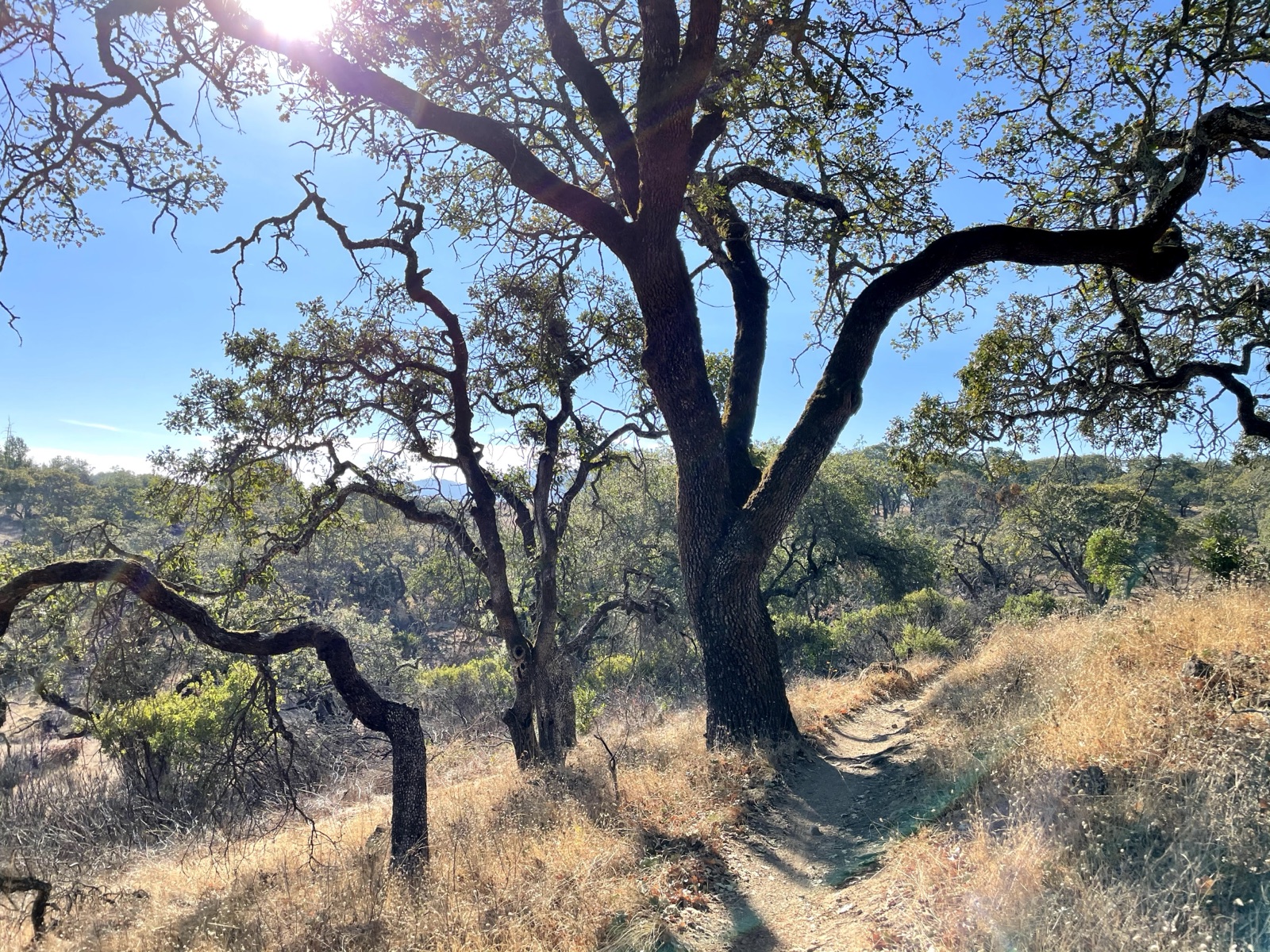 Segment 15, photo 10