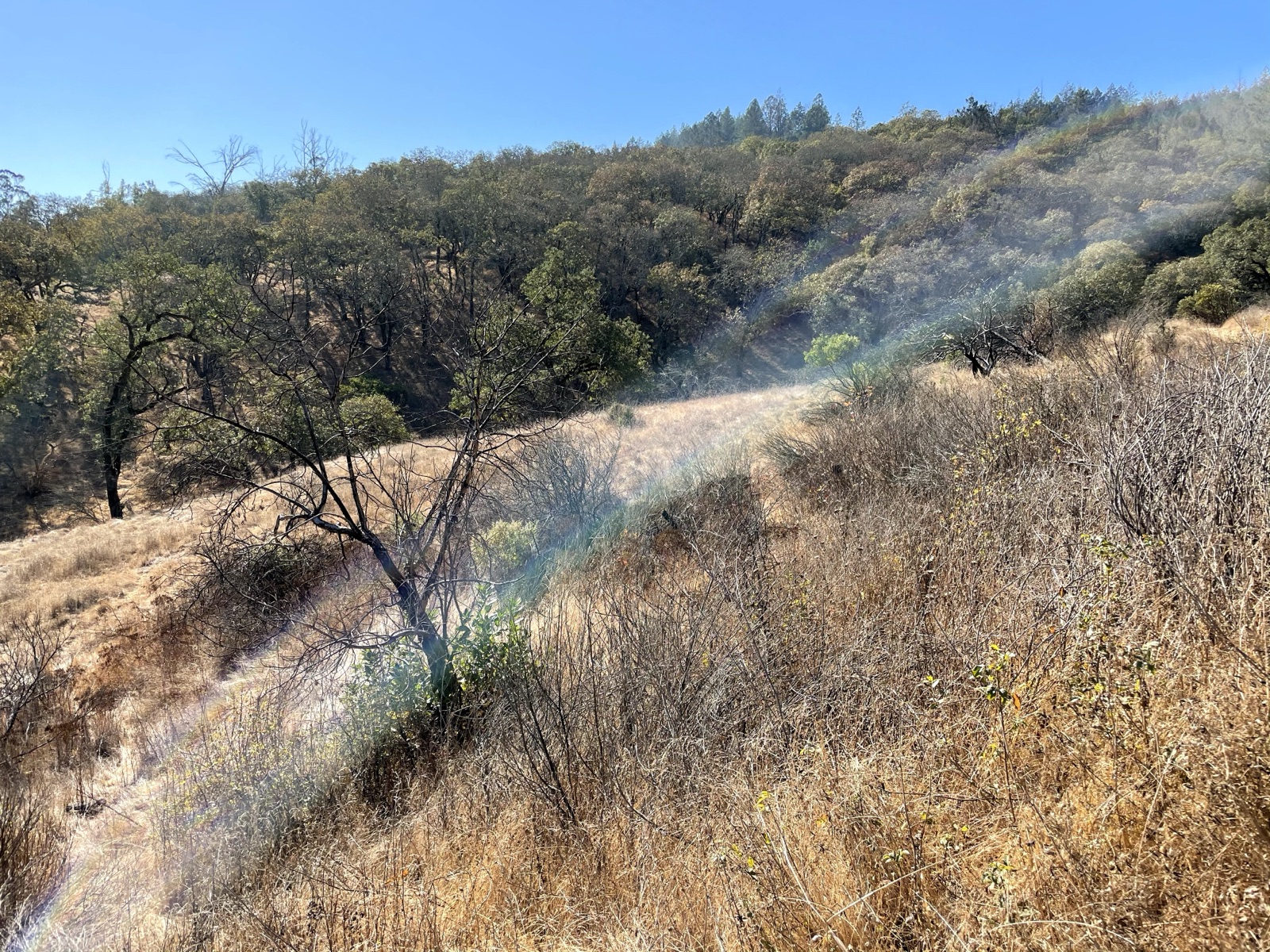 Segment 15, photo 16