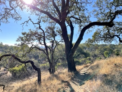 Segment 15 photo 10