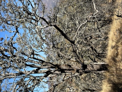 Segment 15 photo 14