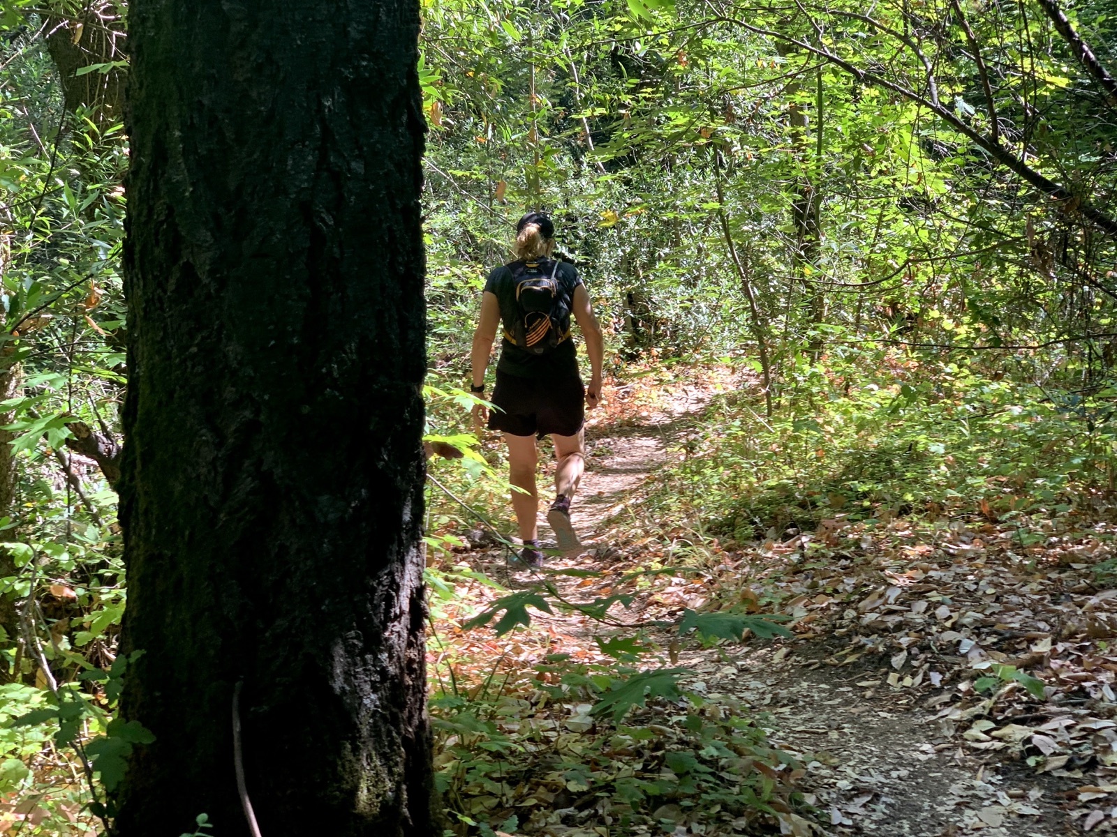 Segment 17, photo 8