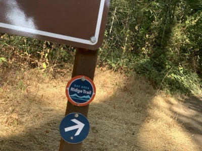 Segment 17 photo 1
