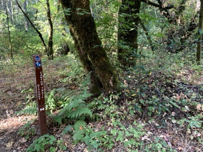 Segment 17 photo 3
