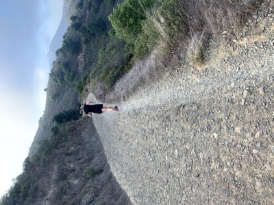 Segment 2 photo 6