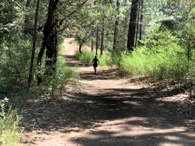 Segment 20 photo 2