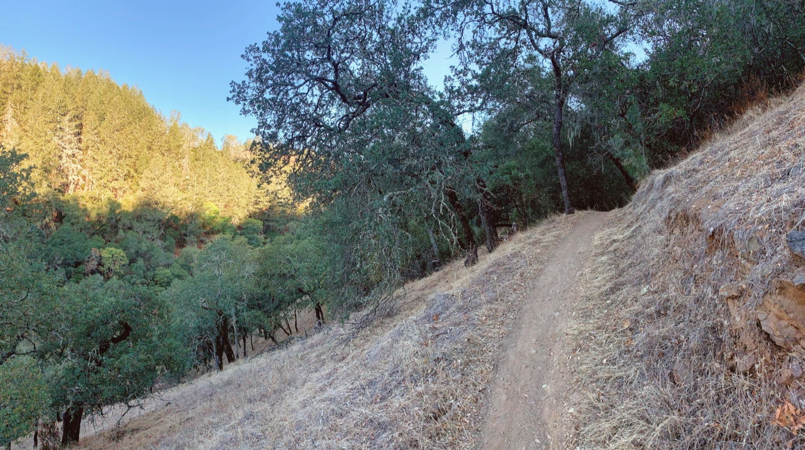Segment 21, photo 1