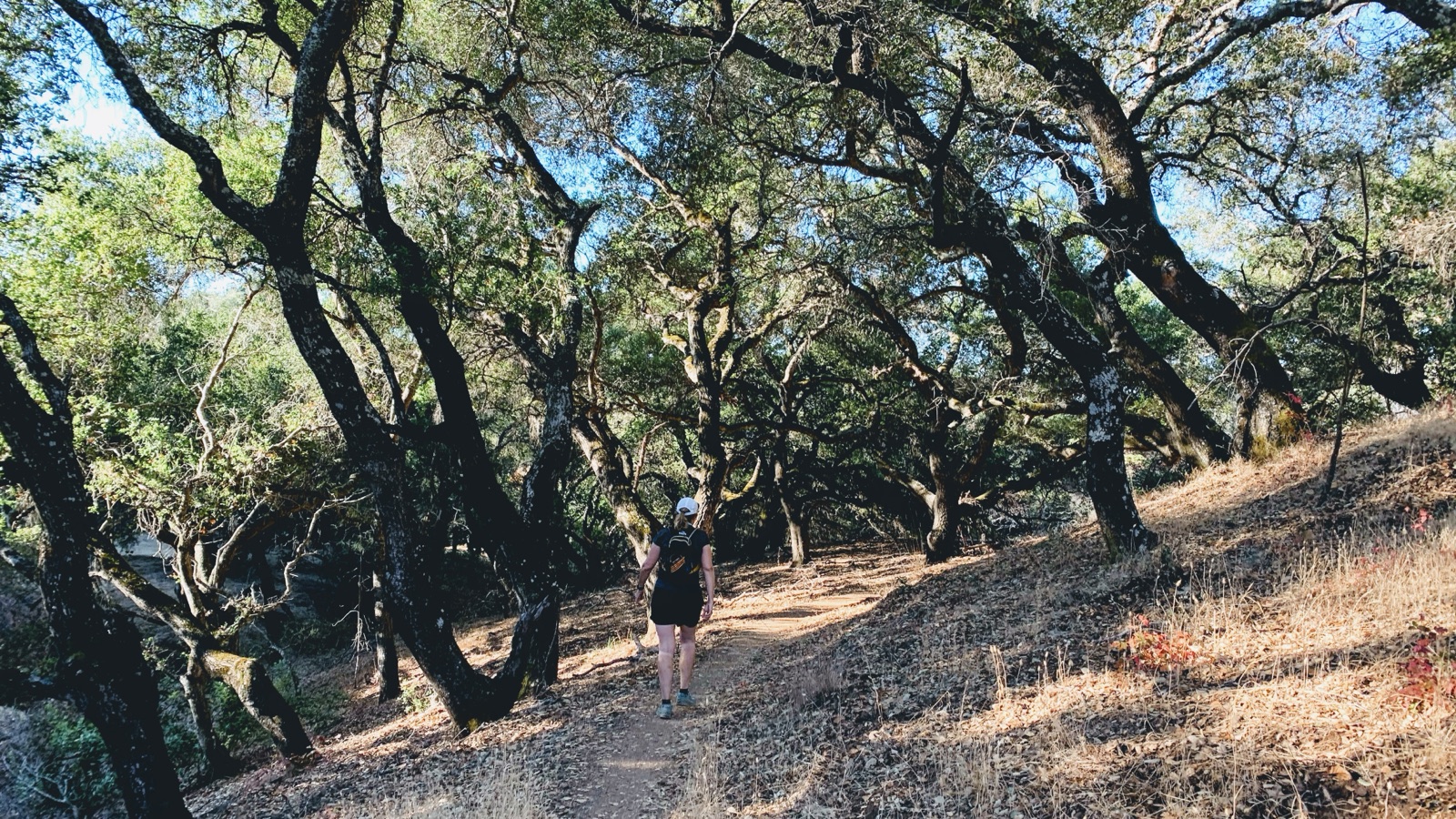 Segment 21, photo 4