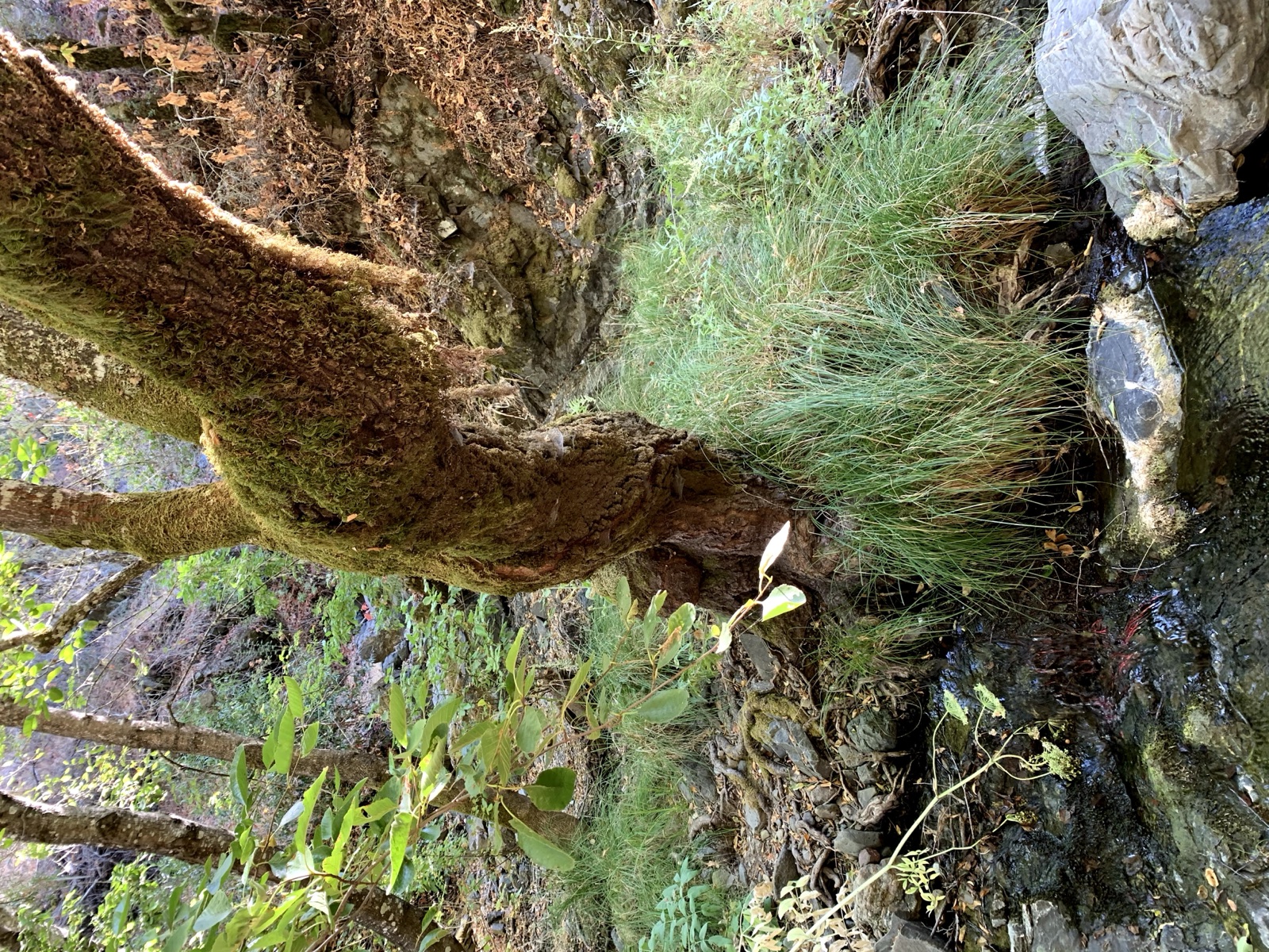 Segment 21, photo 7