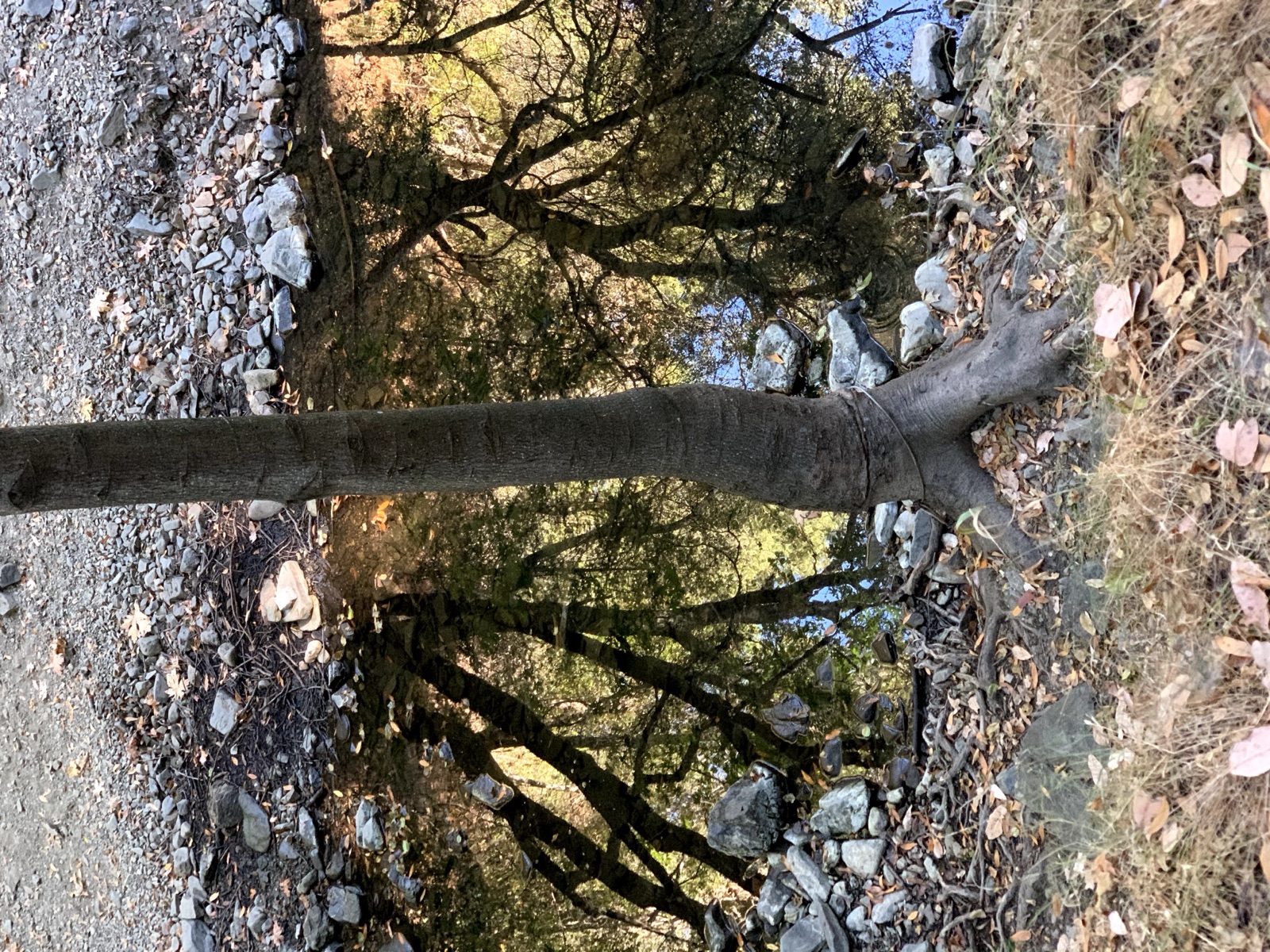 Segment 21, photo 8