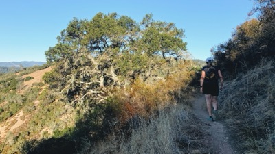 Segment 21 photo 3