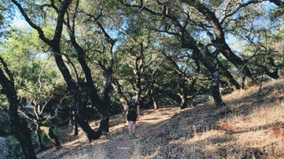 Segment 21 photo 4