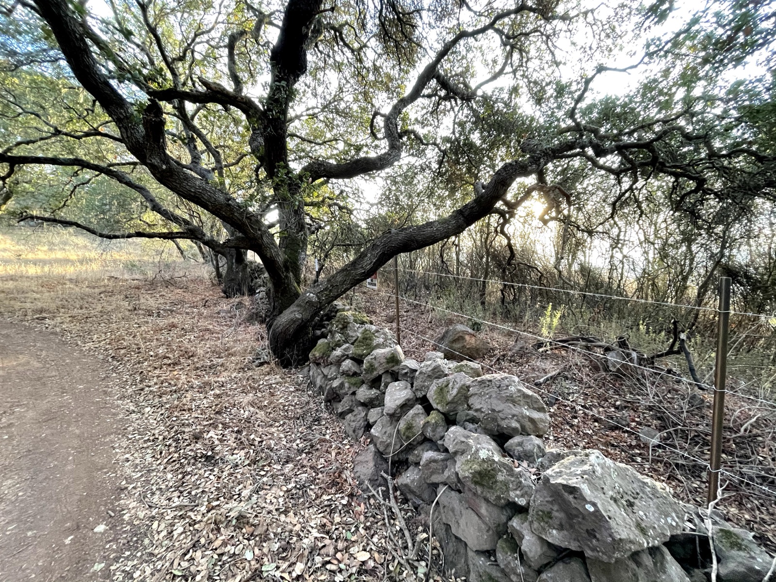 Segment 22, photo 6