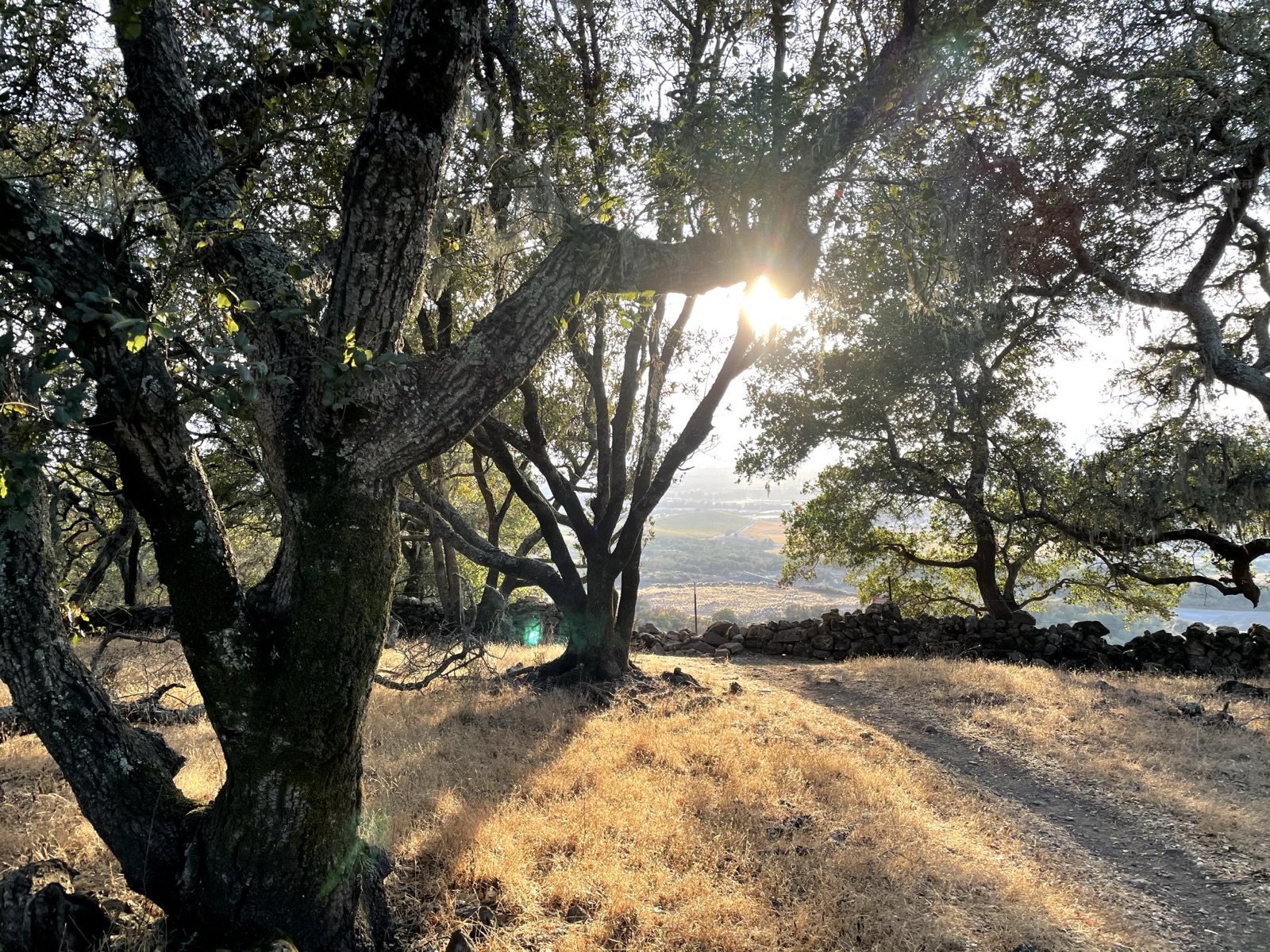 Segment 22, photo 7