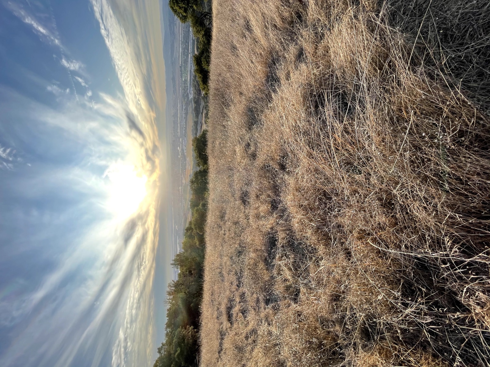 Segment 22, photo 8