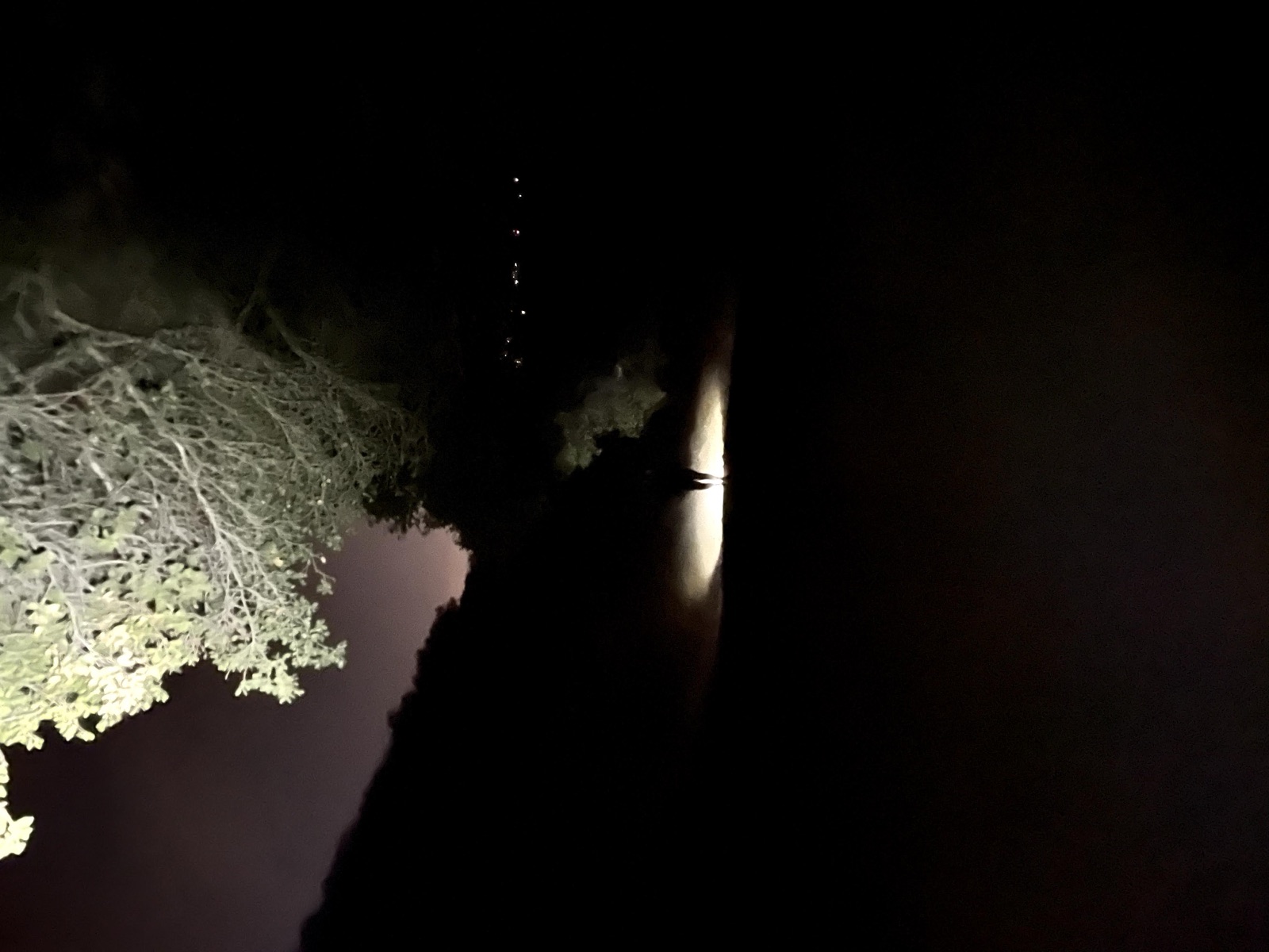 Segment 22, photo 23
