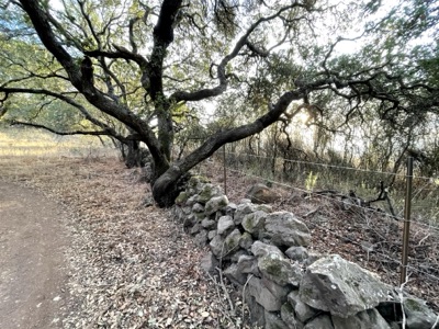 Segment 22 photo 6