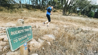 Segment 22 photo 11