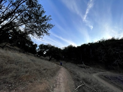 Segment 22 photo 12