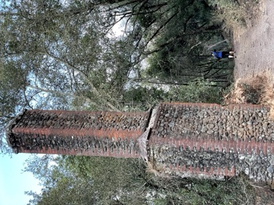 Segment 22 photo 15