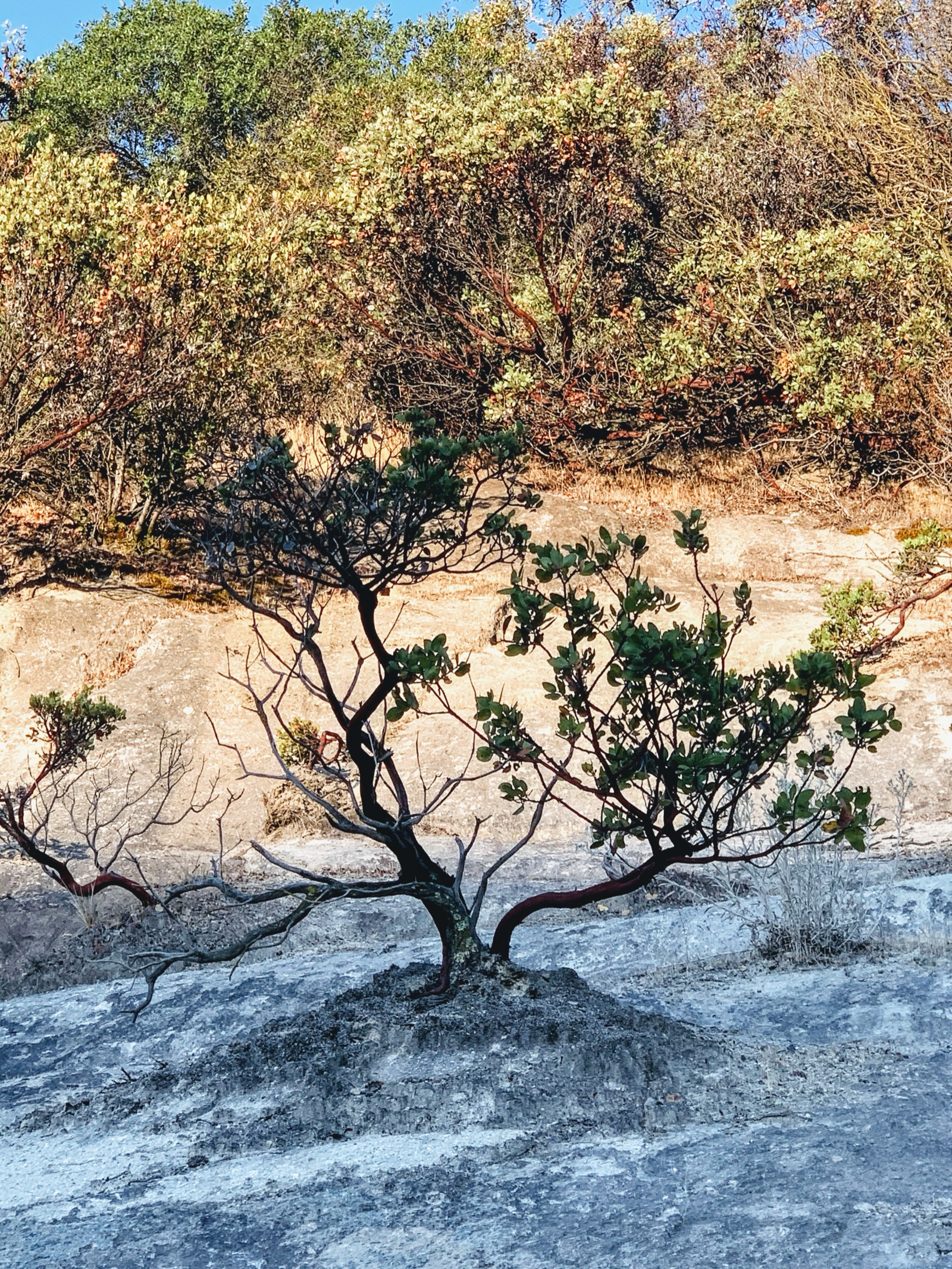 Segment 23, photo 2