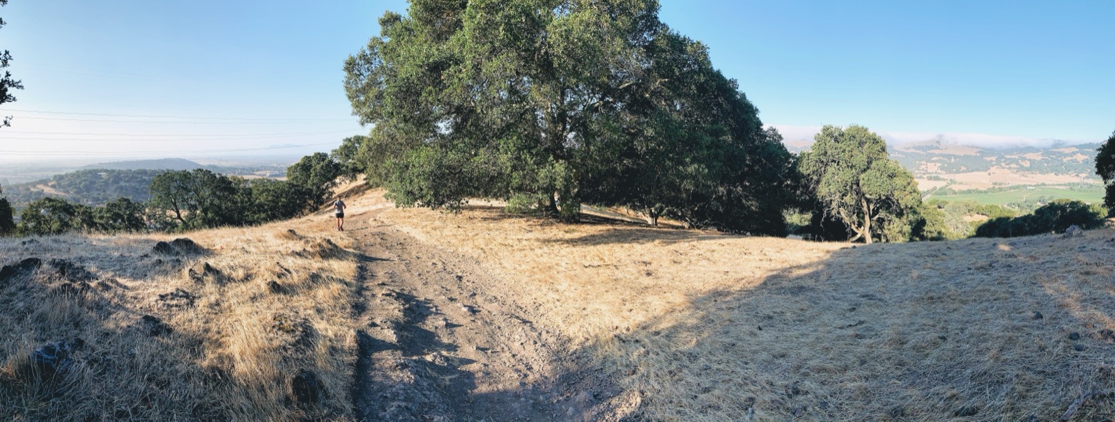 Segment 23, photo 8