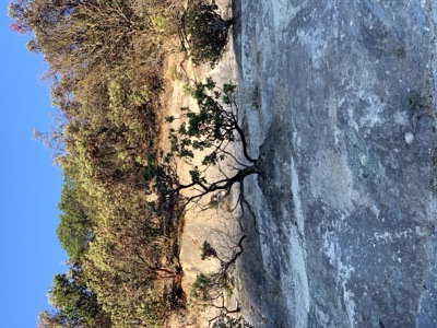 Segment 23 photo 1