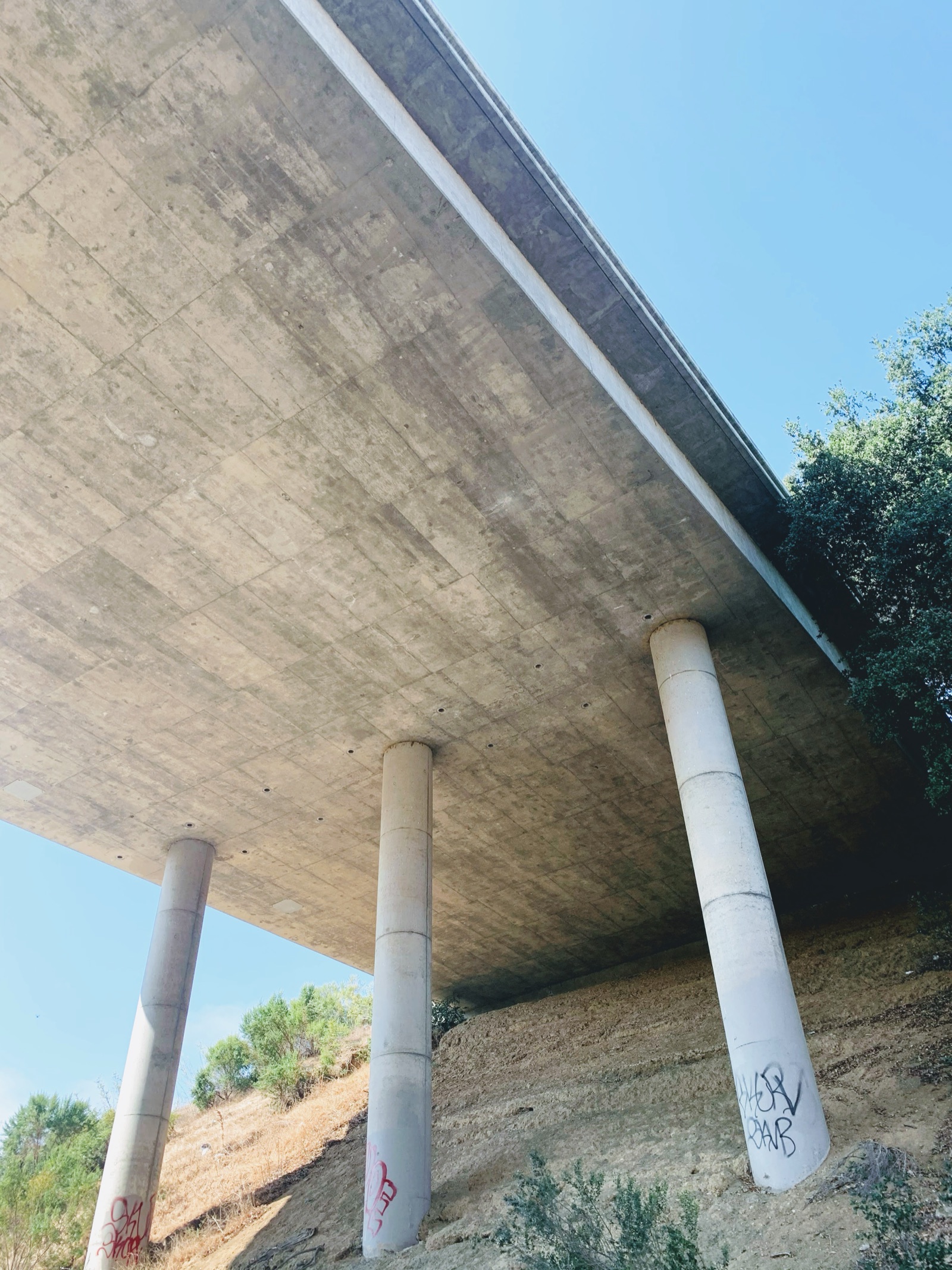 Segment 25, photo 1