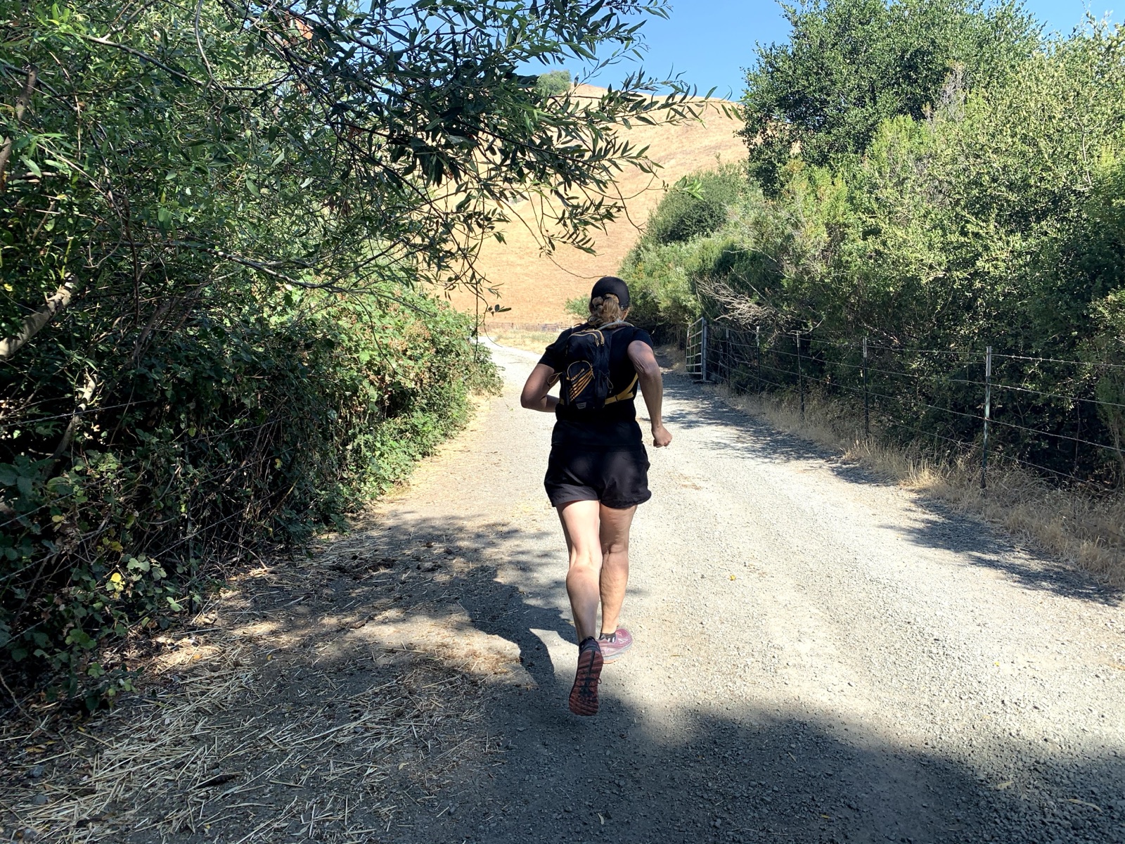 Segment 25, photo 3